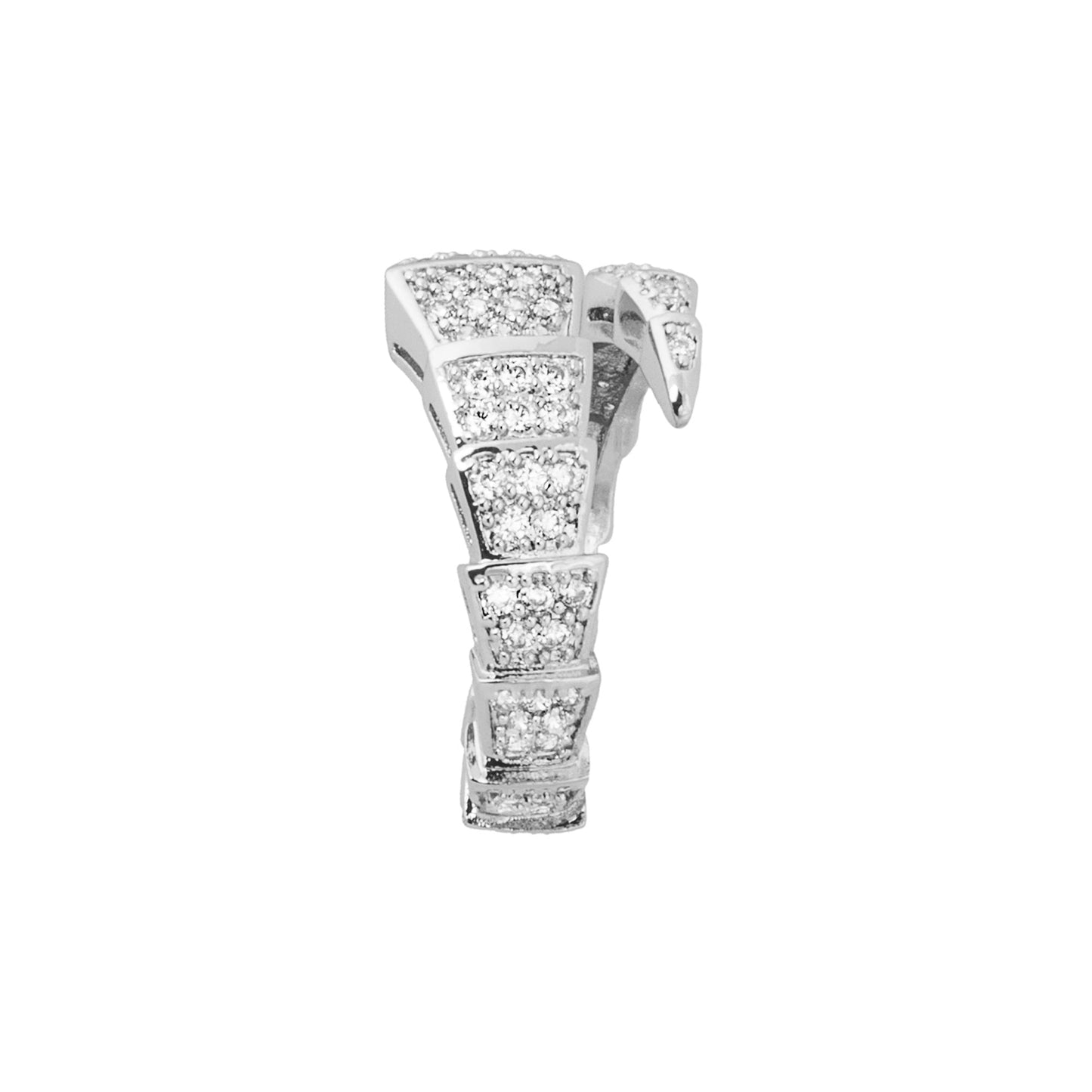 Snake Ring | Silver