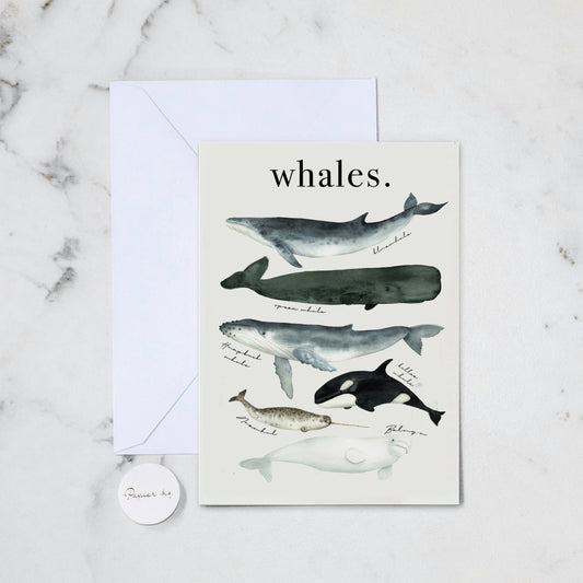 WATERCOLOUR WHALES GREETING CARD (203)